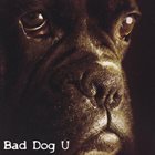 BAD DOG U Bad Dog U album cover