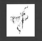 BARRE PHILLIPS Two Strings Will Do It (with Keiji Haino / Sabu Toyozumi) album cover