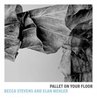 BECCA STEVENS Becca Stevens & Elan Mehler : Pallet On Your Floor album cover
