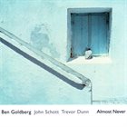 BEN GOLDBERG Almost Never (with John Schott & Trevor Dunn) album cover