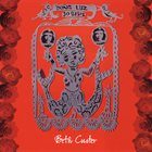 BETH CUSTER Dona Luz 30 Besos album cover