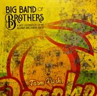BIG BAND OF BROTHERS A Jazz Celebration Of The Allman Brothers Band album cover
