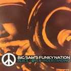 BIG SAM'S FUNKY NATION Peace, Love & Understanding album cover