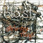 BLAST (NETHERLANDS) Stringy Rugs album cover