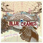 BLUE CRANES Homing Patterns album cover