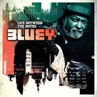 BLUEY Life Between The Notes album cover