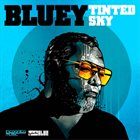 BLUEY Tinted Sky album cover