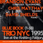 BRANDON EVANS Blue Book (Trio NYC 1995) album cover