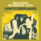 BRANDON SEABROOK Brandon Seabrook Trio : Convulsionaries album cover