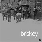 BRISKEY Briskey album cover