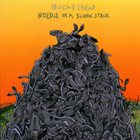 BUCKETHEAD Needle In A Slunk Stack album cover