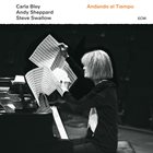 CARLA BLEY Carla Bley/Andy Sheppard/Steve Swallow : Andando el Tiempo album cover