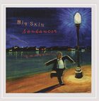 CHRIS SAUNDERS BAND / CHRIS SAUNDERS BIG SKIN Big Skin : Sandancer album cover