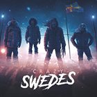 CRAZY SWEDES Crazy Swedes album cover