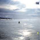 DANIEL CARTER Daniel Carter / Patrick Holmes / Matthew Putman / Hilliard Greene / Federico Ughi : Telepathic Mysteries Vol. 1 album cover