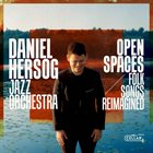 DANIEL HERSOG Open Spaces - Folk Songs Reimagined album cover