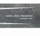 DANIEL LEVIN Daniel Levin / Rob Brown : Divergent Paths album cover