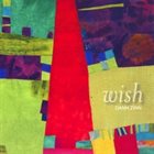 DANN ZINN Wish album cover