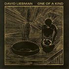DAVE LIEBMAN One Of A Kind album cover