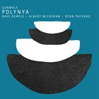DAVE REMPIS Gunwale : Polynya album cover
