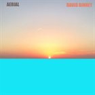 DAVID BINNEY Aerial album cover