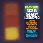 DAVID CHESKY David Chesky & Jazz In The New Harmonic ‎: Primal Scream album cover
