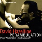 DAVID HAZELTINE Perambulation album cover