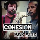 DAVID LARSEN Cohesion album cover