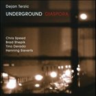 DEJAN TERZIĆ Diaspora album cover