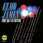 ELMORE JAMES The Sky Is Crying album cover