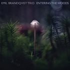 EMIL BRANDQVIST Entering The Woods album cover
