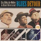 ERIC BIBB Eric Bibb, Ale Möller & Knut Reiersrud ‎: Blues Detour album cover