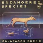 GALAPAGOS DUCK Endangered Species album cover
