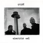GUSH (GUSTAFSSON / SANDELL / STRID) Electric Eel album cover