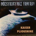 HENRY KAISER Henry Kaiser, Alexei Pilousnine : Indestructible Fantasy album cover