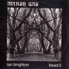 IAN BRIGHTON Marsh Gas album cover