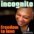 INCOGNITO Freedom To Love  (remixes) album cover