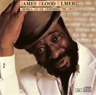 JAMES BLOOD ULMER America - Do You Remember The Love? album cover