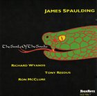 JAMES SPAULDING Smile of the Snake album cover