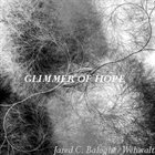 JARED C. BALOGH Jared C. Balogh / Wehwalt ‎: Glimmer Of Hope album cover