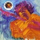 JIMI HENDRIX The Jimi Hendrix Concerts album cover