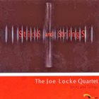 JOE LOCKE Sticks and Strings album cover