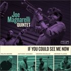 JOE MAGNARELLI If You Could See Me Now album cover