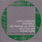JOHN LINDBERG A Tree Frog Tonality album cover