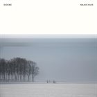 JORN SWART Doeke : Naar Huis album cover