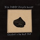 KAJA DRAKSLER Kaja Draksler Acropolis Quintet : Chestnut is the Best Nut album cover