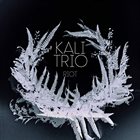 KALI TRIO Riot album cover