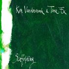 KEN VANDERMARK Ken Vandermark & Terrie Ex : Scaffolding album cover