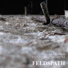 LA PIEUVRE La Pieuvre & Circum Grand Orchestra : Feldspath album cover