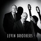 LEVIN BROTHERS Levin Brothers album cover